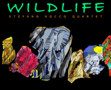 Stefano Rocco Quartet : Wildlife