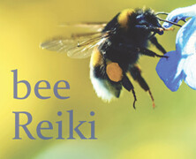 Faradena Afifi, Steve Beresford & Paul Khimasia Morgan : bee Reiki