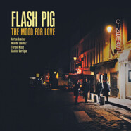 Flash Pig : In the Mood for Love