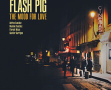 Flash Pig : In the Mood for Love