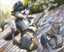 StratCat Willie & The Strays : On a Hot Tin Roof