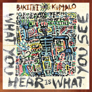 Bakithi Kumalo : What You Hear Is What You See