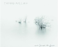Thierry Maillard : Une larme de pluie