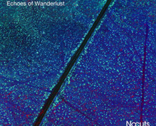 NoCuts : Echoes of Wanderlust