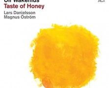 Ulf Wakenius : Taste Of Honey
