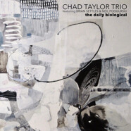 Chad Taylor Trio : The Daily Biological