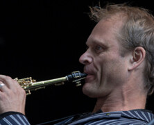 Toine Thys : l’Étranger