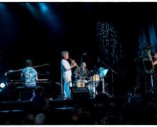 Trio Grande @ Jazz Middelheim 2011