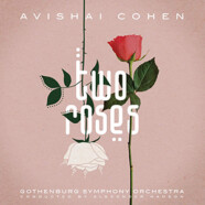 Avishai Cohen : Two Roses