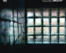 Hugues Mayot, What If ?