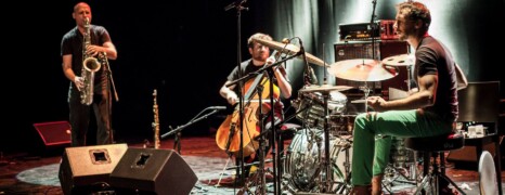 Hermia-Ceccaldi-Darrifourcq