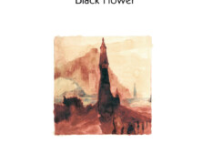 Black Flower, Artifacts