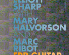 Sharp – Halvorson – Ribot, ERR GUITAR