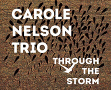 Carole Nelson Trio : Through the Storm