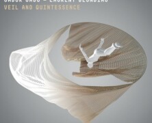 Gádó-Blondiau, Veil and Quintessence