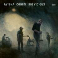 Avishai Cohen, Big Vicious