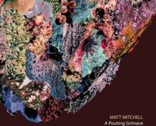 Matt Mitchell, A Pouting Grimace