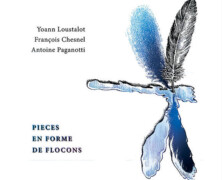 Loustalot – Chesnel – Paganotti, Pièces en forme de flocons